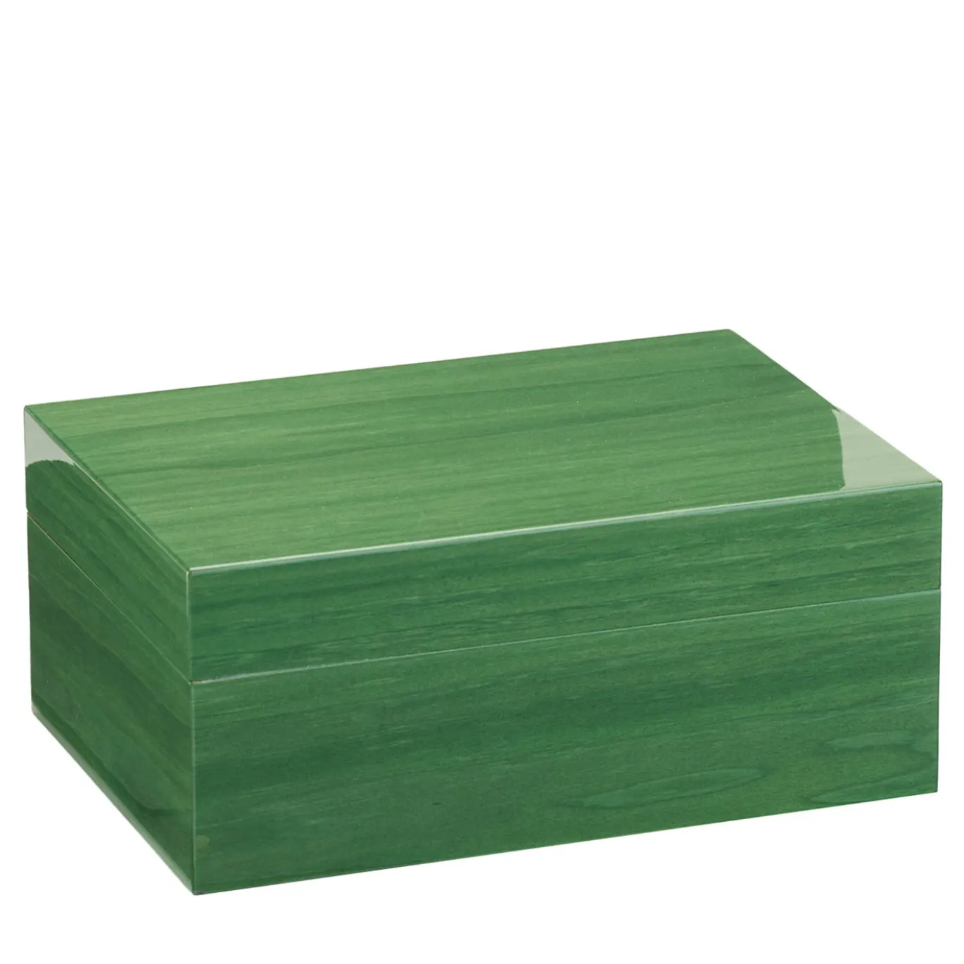 Roma SC1 Scatola Porta Orologio Verde Venato