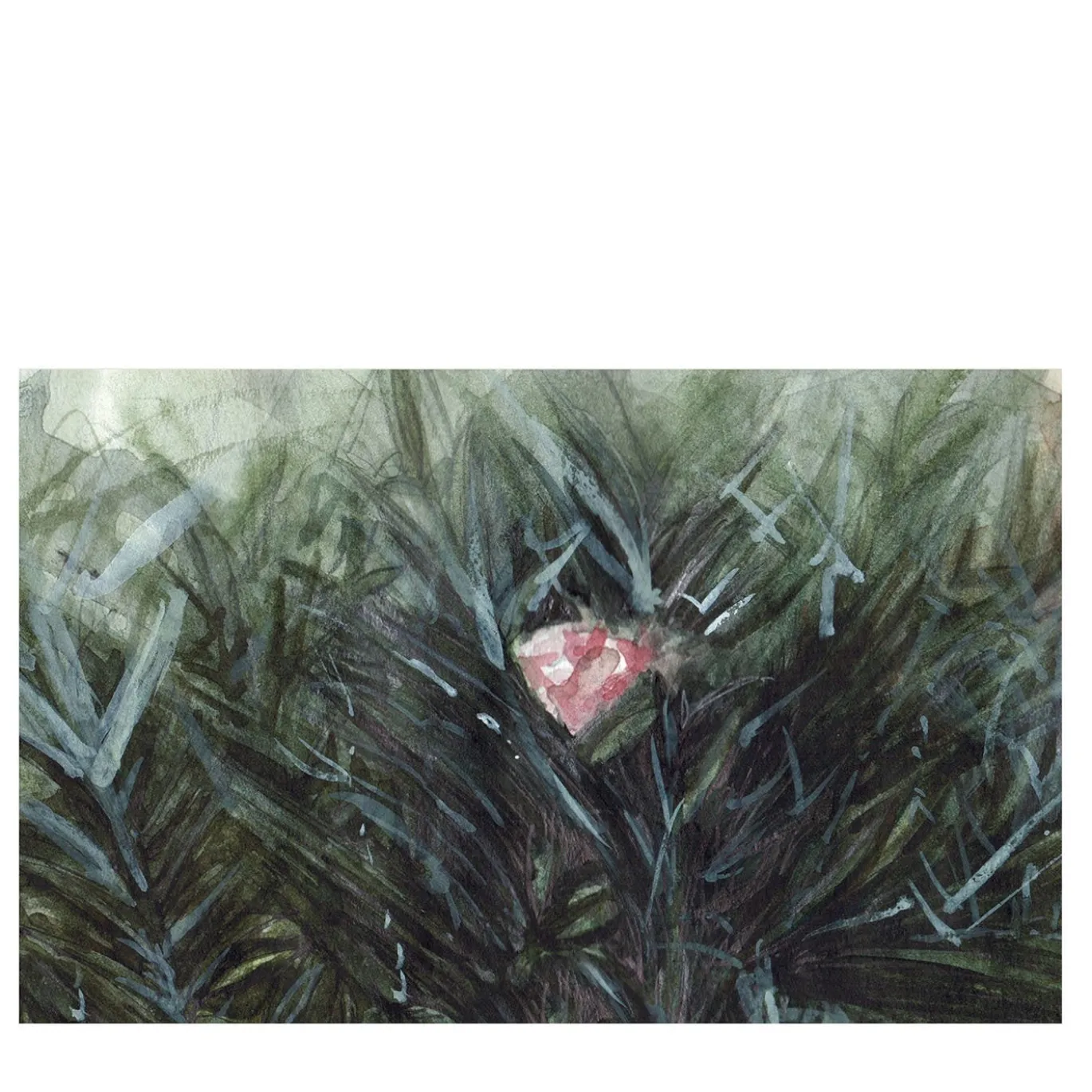 Rosa Botanika Carta da parati