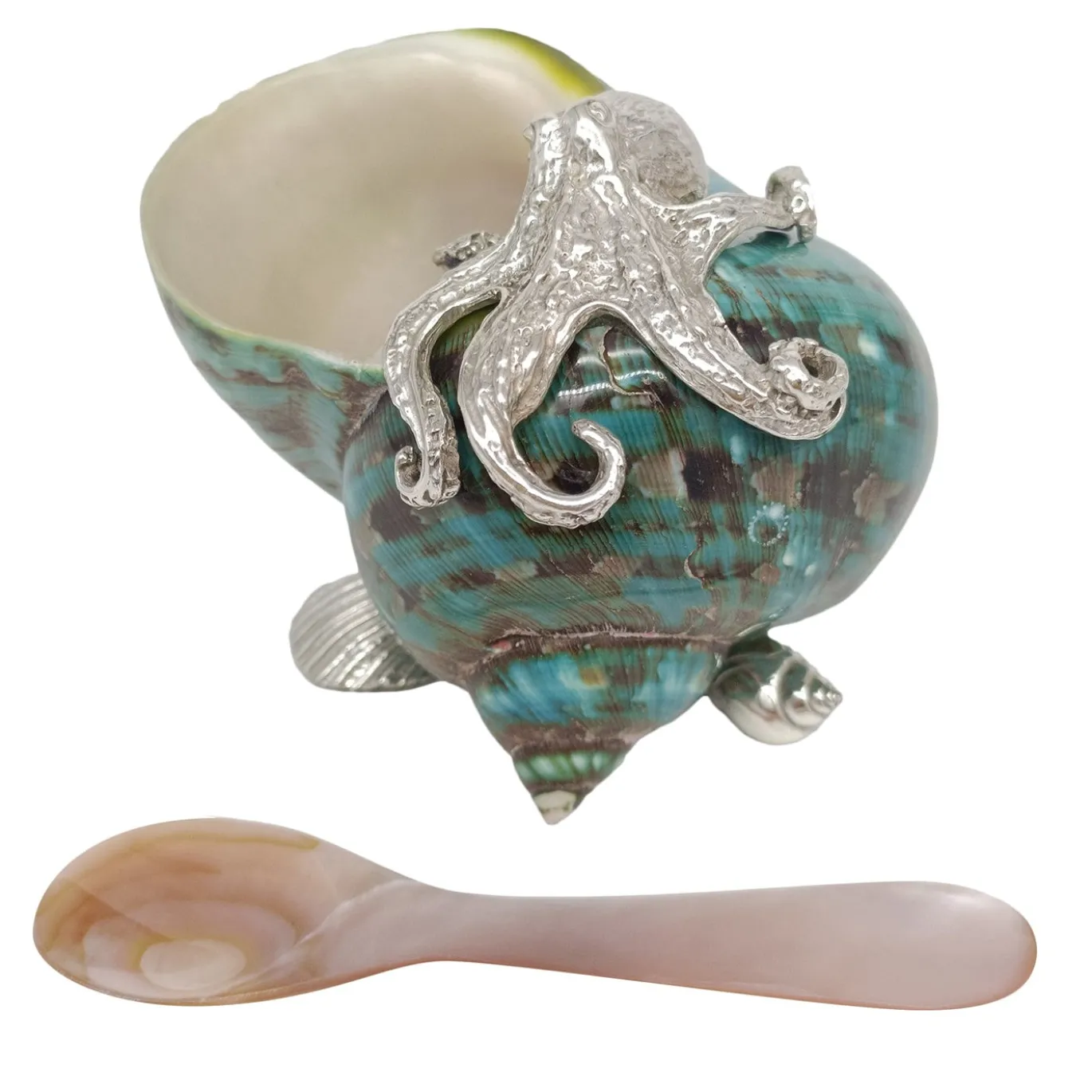Saliera in conchiglia turchese e argento con cucchiaino in madreperla