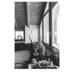 Savage Fool Bear Fotografia #06