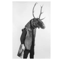 Savage Fool Bear Fotografia #09