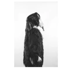Savage Fool Bear Fotografia #01