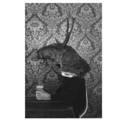 Savage Fool Bear Fotografia #04