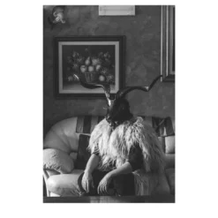Savage Fool Bear Fotografia #02