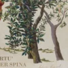 Scagliola e olio a rilievo di Lodovico Cupioli