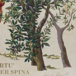 Scagliola e olio a rilievo di Lodovico Cupioli