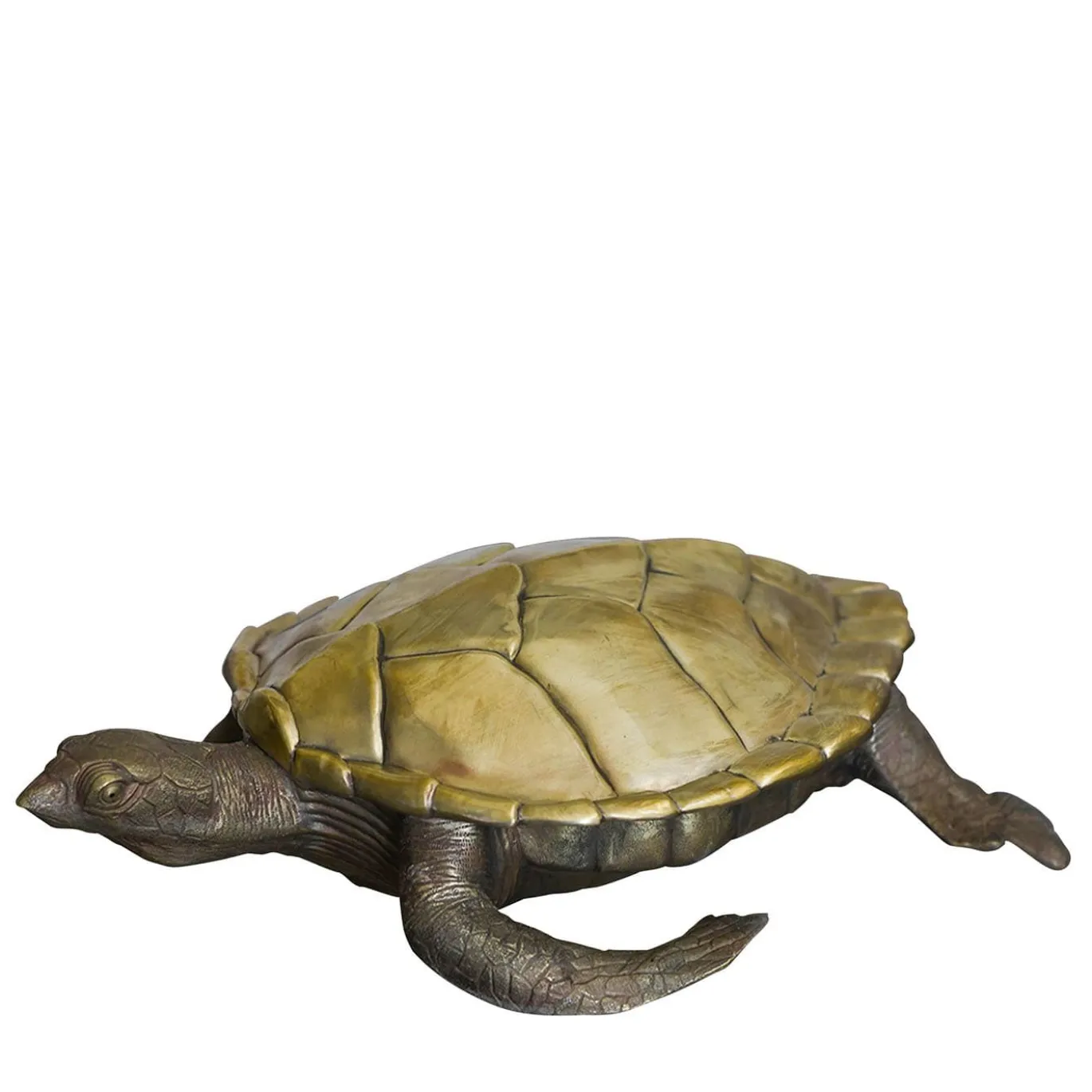 Scatola Tartaruga in Ottone