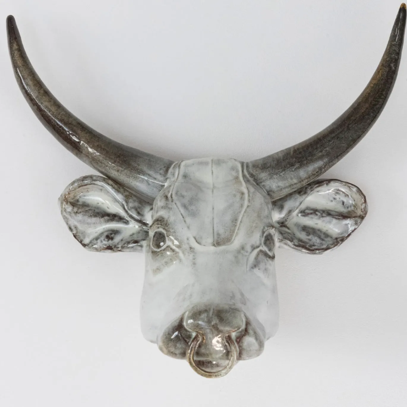 Scultura da parete con trofeo del toro