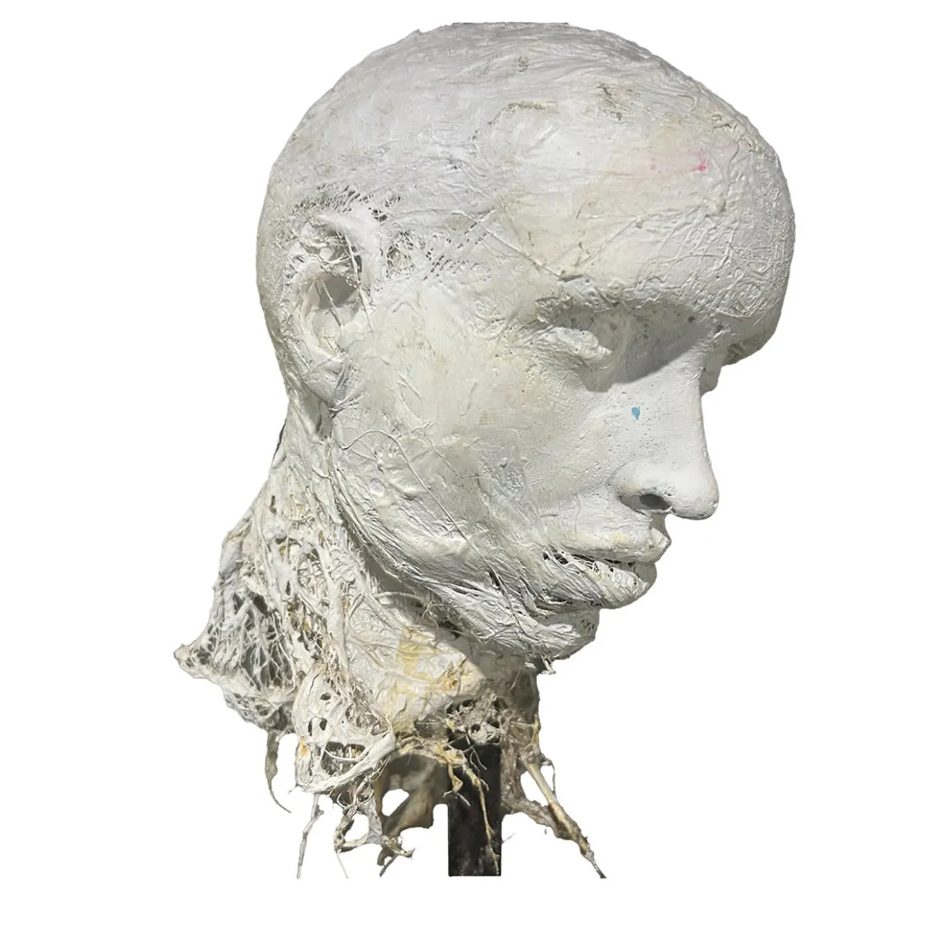 Scultura del corpo