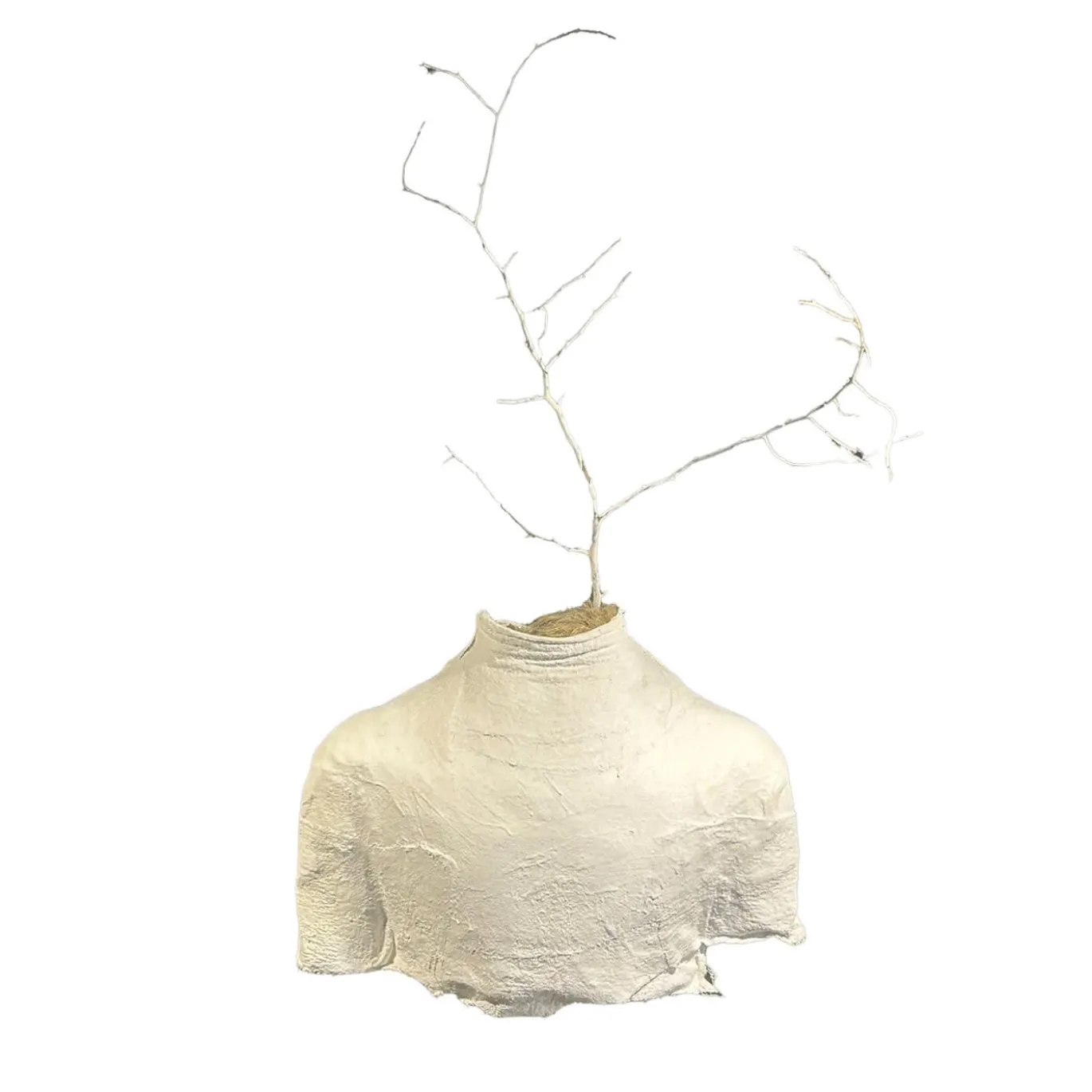 Scultura di CO/senza