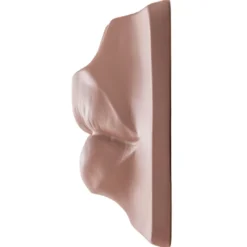 Scultura di labbra rosa Jolie