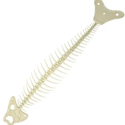 Scultura Fishbone in Ceramica Bianca
