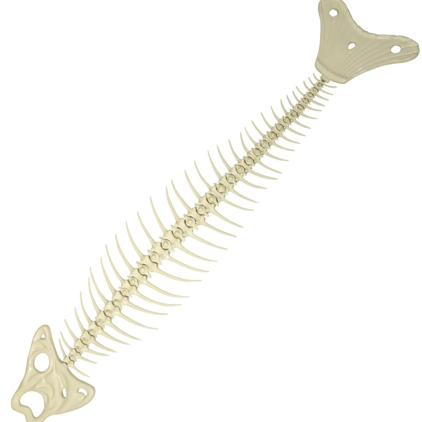 Scultura Fishbone in Ceramica Bianca