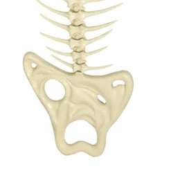 Scultura Fishbone in Ceramica Bianca