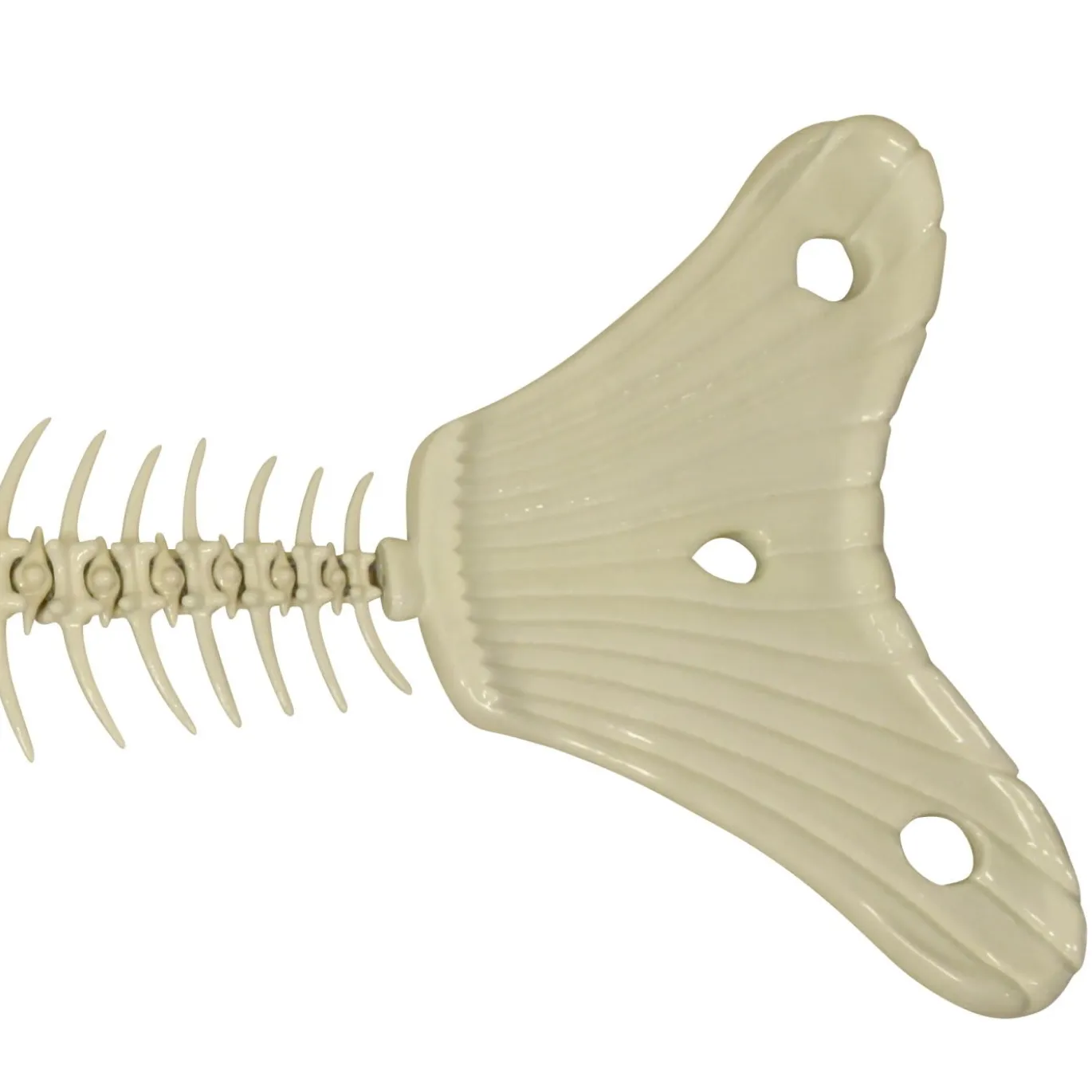 Scultura Fishbone in Ceramica Bianca