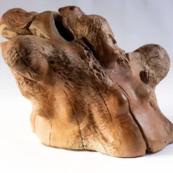 Scultura in noce Luce