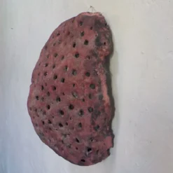 Scultura in resina rossa scura Forma
