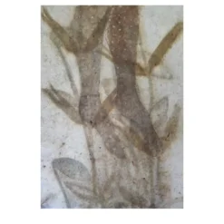Senza Titolo Pittura #2