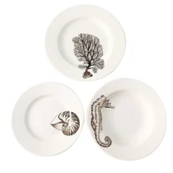 Set da pranzo "Cabinet de Curiosités" Nautilus