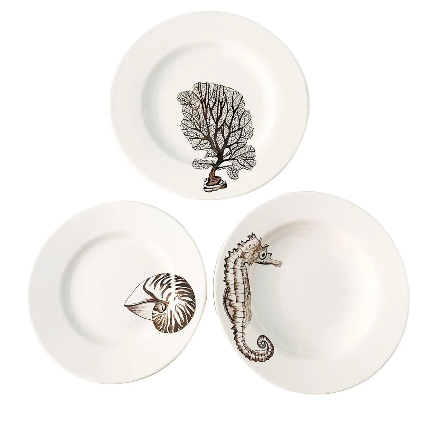 Set da pranzo "Cabinet de Curiosités" Nautilus