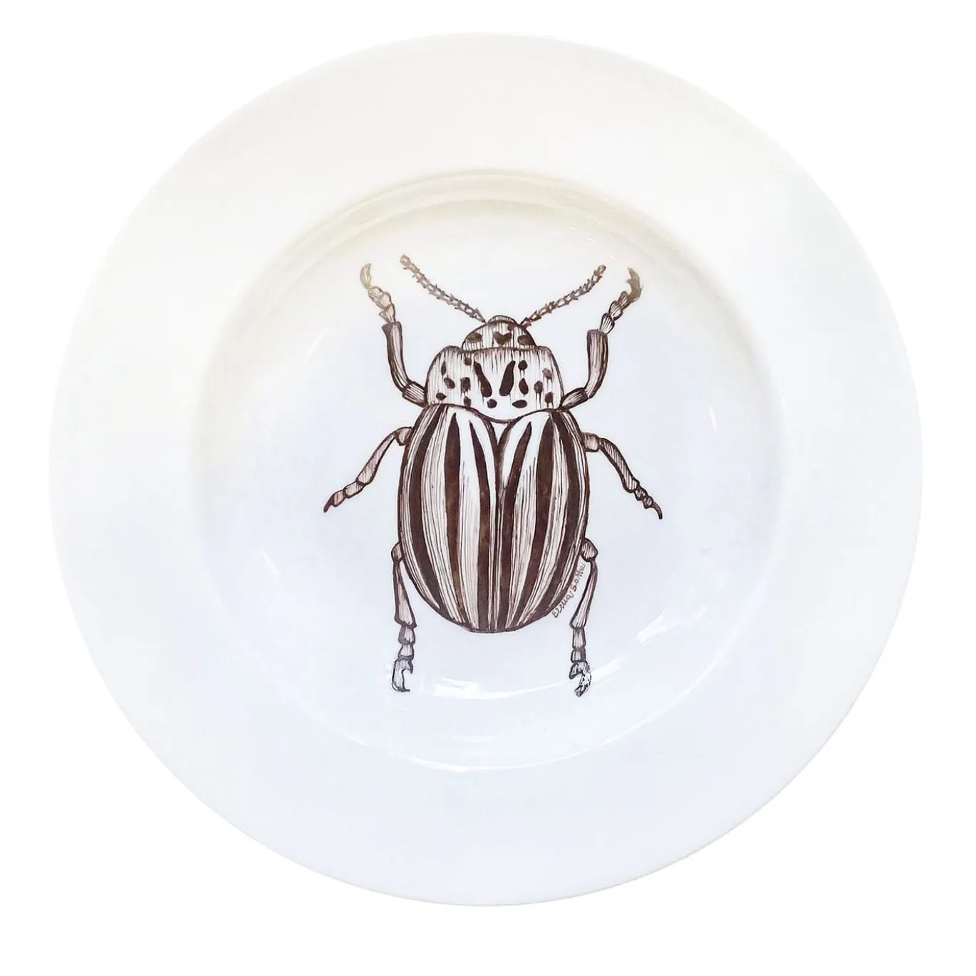 Set da pranzo "Cabinet de Curiosités" di Insecta