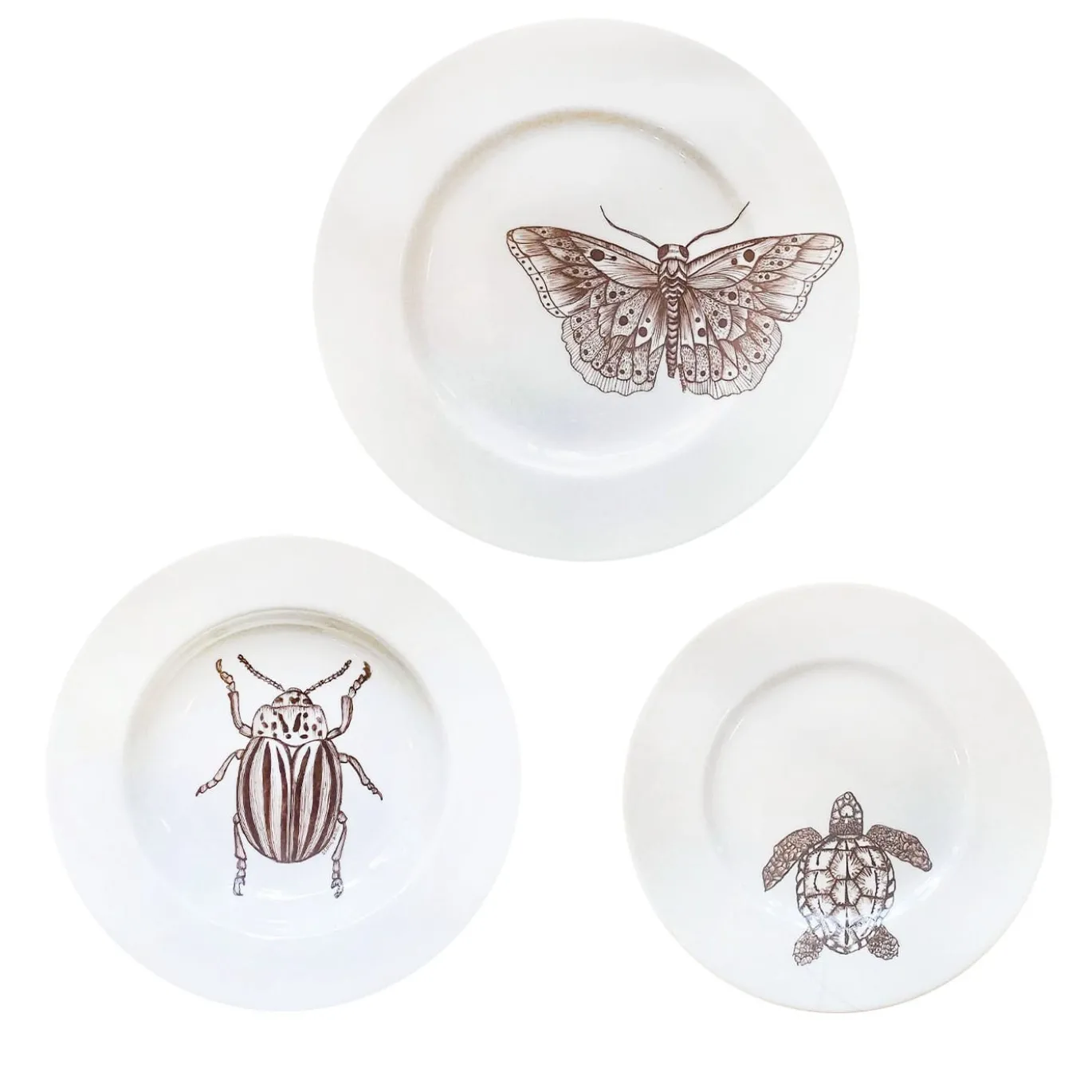 Set da pranzo "Cabinet de Curiosités" di Insecta