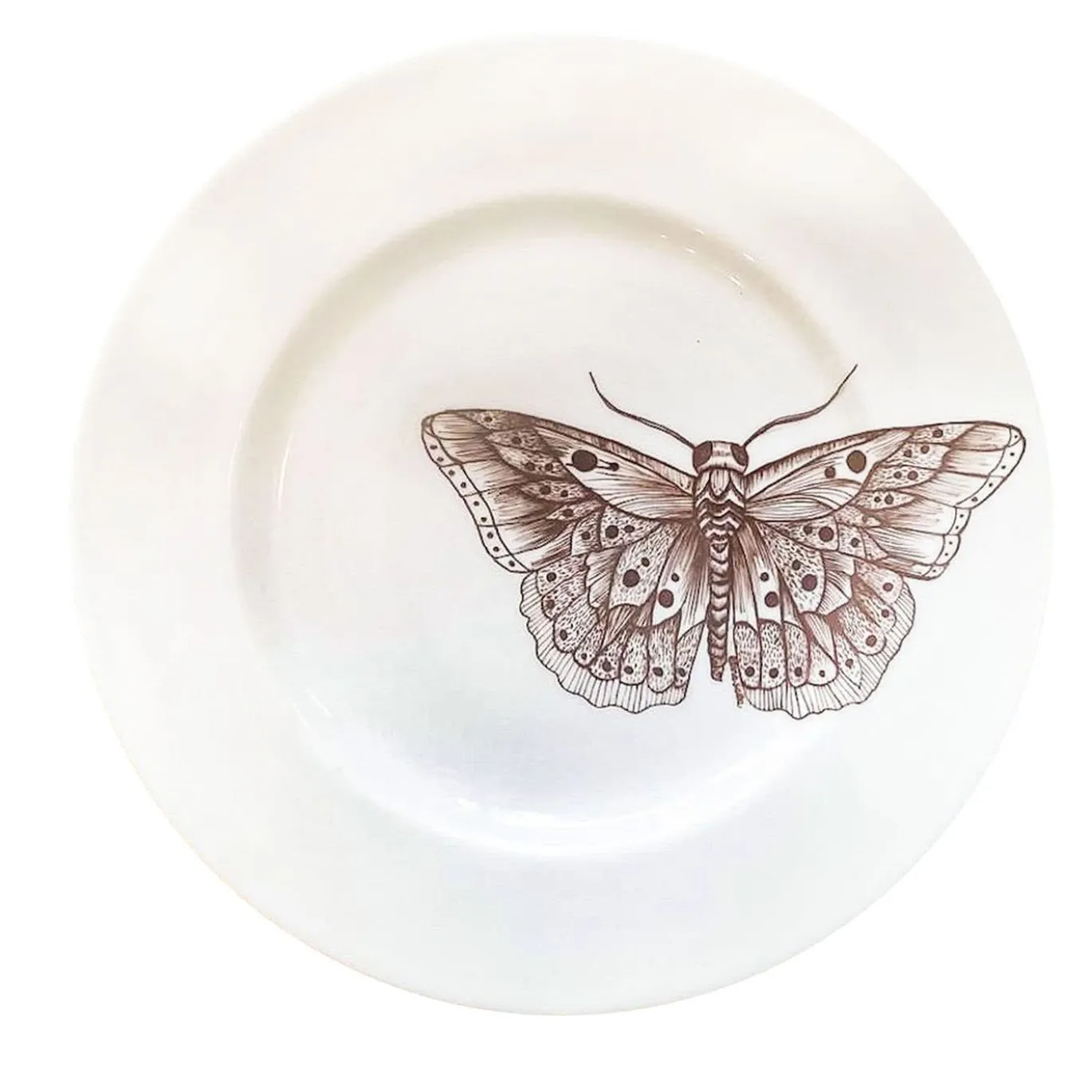 Set da pranzo "Cabinet de Curiosités" di Insecta