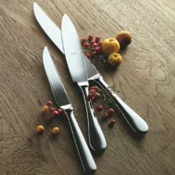 Set di 6 coltelli da bistecca in acciaio inossidabile