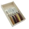 Set di 5 coltelli da formaggio