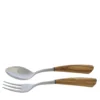 Set di forchetta e cucchiaio per insalata