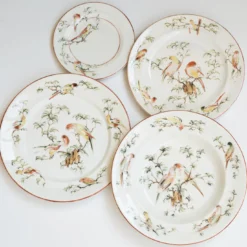 Set di 4 Piatti Fondi Pappagallini