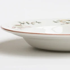 Set di 4 Piatti Fondi Pappagallini