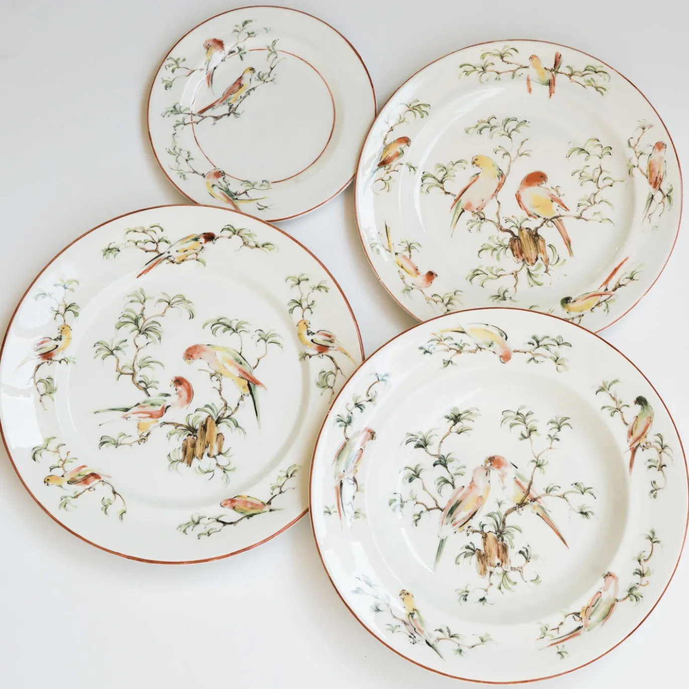 Set di 4 Piatti Piani Pappagallini