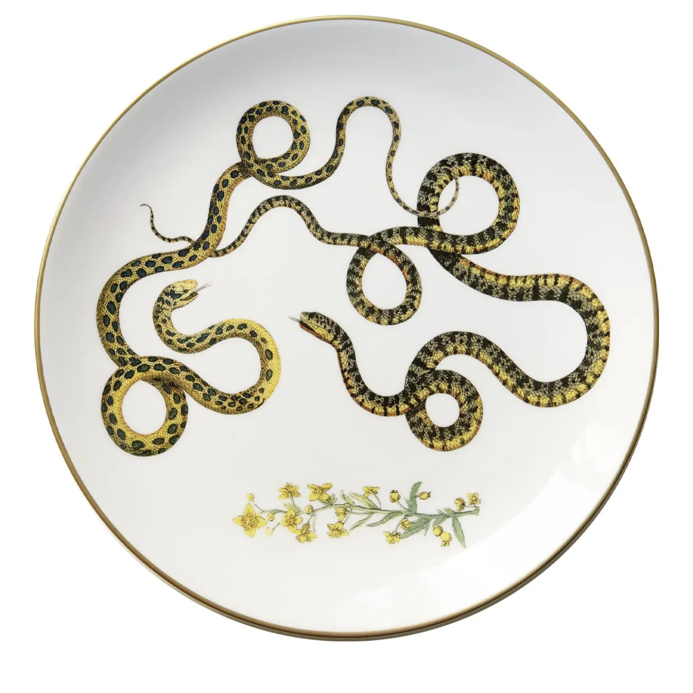 Set di 3 Piatti Piani Serpi #2 in Ceramica Bianca