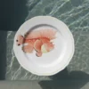 Set di 4 piatti piani Veleno Bellissimo in porcellana dipinti a mano