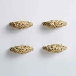 Set di 4 pomelli per porte in ottone Madrepora di Nicole Valenti