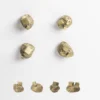 Set di 4 pomelli per porte in ottone Pietra #1 di Nicole Valenti