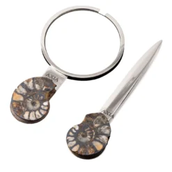 Set Fossiline di Coltello da Carta e Lente di Ingrandimento di Nino Basso #1