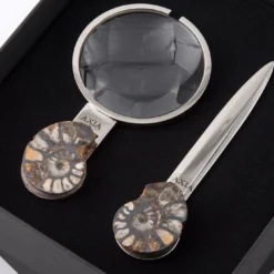 Set Fossiline di Coltello da Carta e Lente di Ingrandimento di Nino Basso #1