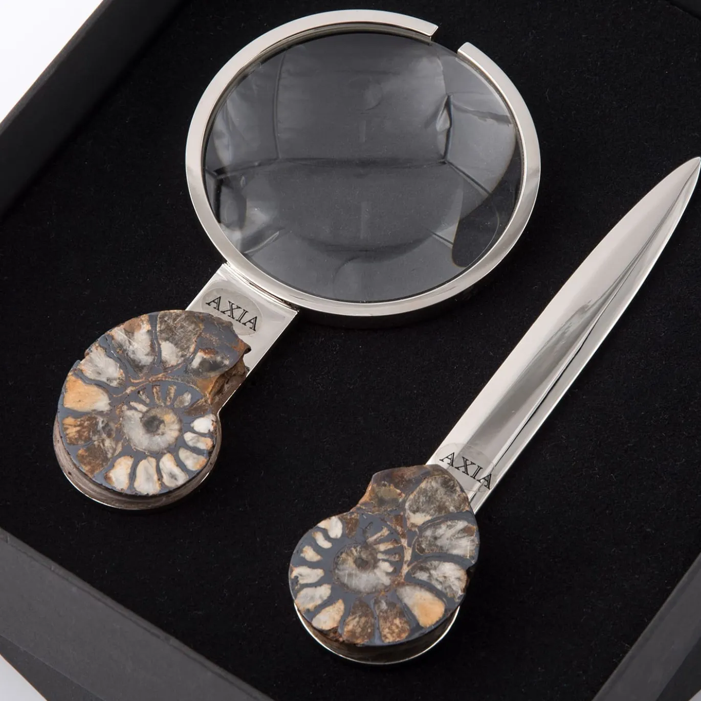 Set Fossiline di Coltello da Carta e Lente di Ingrandimento di Nino Basso #1