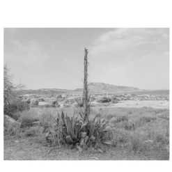 Sicilia Baia di Cornino 03 Fotografia