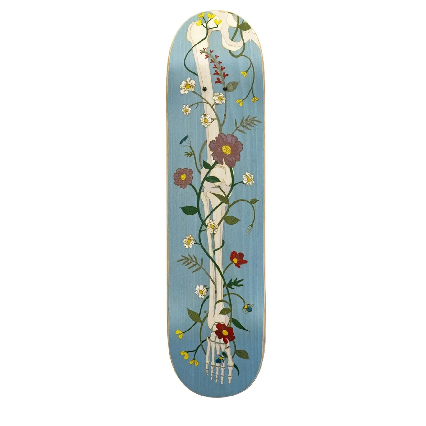 Skateboard Decorativo Life After Life in Faggio Azzurro