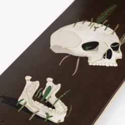 Skateboard decorativo Old Skull Brown
