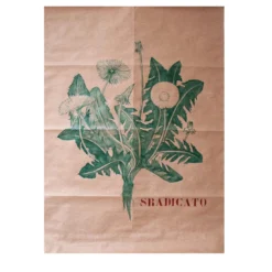 Sradicato Pen Disegno su Carta