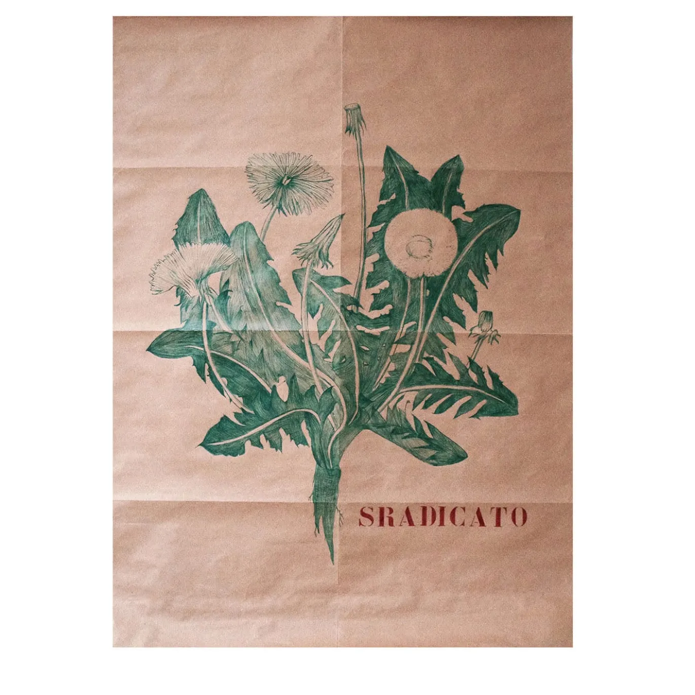 Sradicato Pen Disegno su Carta