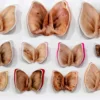 Stampa a Getto su Carta Moths and Butterflies di Chiara Lecca #3