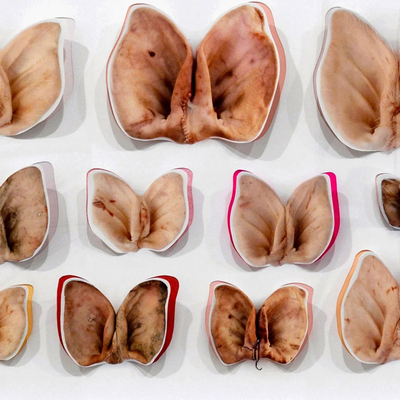 Stampa a Getto su Carta Moths and Butterflies di Chiara Lecca #3