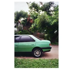 Stampa fotografica Auto Verde