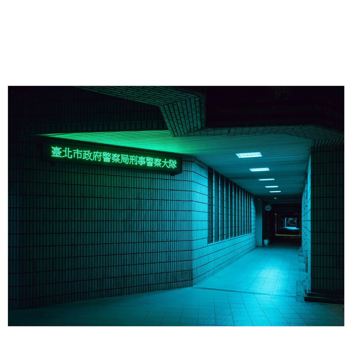 Stampa fotografica della polizia al neon