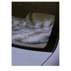 Stampa fotografica Interno Auto